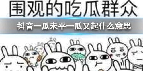 揭秘娱乐圈网红黑料与行业乱象真相