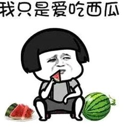 飞机偶遇明星小李，云端上的温暖瞬间