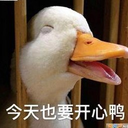 童锦程的真实面纱与娱乐圈狗仔的幕后故事