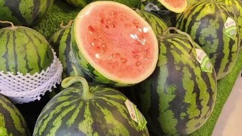 杨幂与刘恺威：从演员搭档到明星夫妻的多维生活轨迹