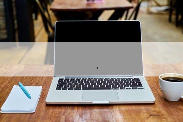 贺峻霖与冯绍峰：演艺与生活的多面探索