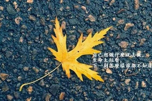 娱乐圈最新热门大瓜，吃瓜群众赶紧围观！🍉