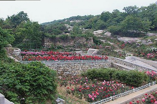 揭秘吃瓜网:从爆料风暴到娱乐热点全记录